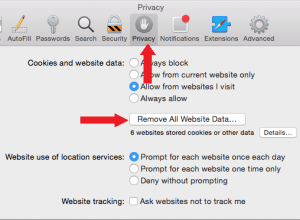 Safari privacy window