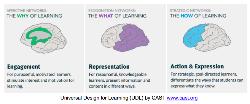 Three images of the human brain, color coding where different types of learning effect the human brain. Green highlights the central portion of the brain during the Why of learning, or during Engagement. Purple highlights posterior portion of the brain during the What of learning, or Representation. Blue highlights the anterior portion of the brain during the How of learning, or Action and Expression.